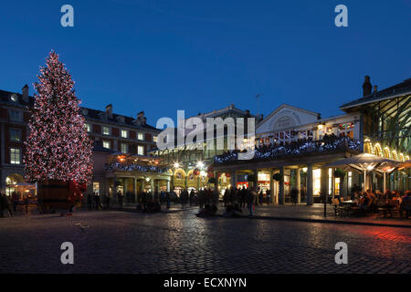 Covent Garden Piazza mit Weihnachtsbaum bei Dämmerung, London, England, Vereinigtes Königreich Stockfoto
