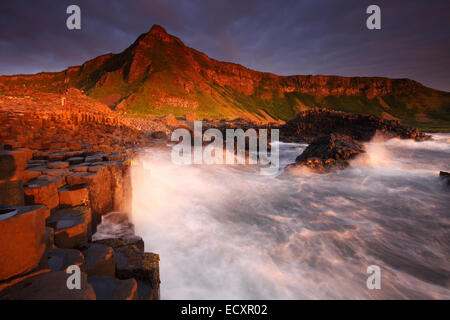 Der Giant's Causeway, Nordirland Stockfoto
