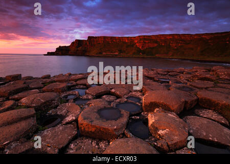 Der Giant's Causeway, Nordirland Stockfoto