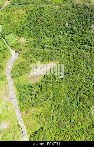 Aus der Vogelperspektive ist eine schmale, kurvige Straße zu sehen, die durch einen dichten, lebhaften grünen Wald führt. Die Straße biegt sich scharf und führt in einen dunklen Tunnel, der in den Hügel gehauen ist. Ein einziges rotes Fahrzeug ist Stockfoto