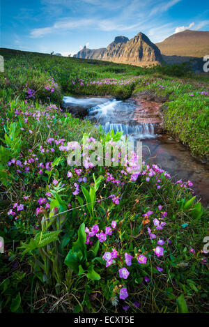 Logan Pass im Glacier National Park, befindet sich im Bundesstaat Montana Vereinigten Staaten. Stockfoto