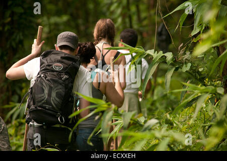 El Pino, Atlaneida, Honduras. 2. Mai 2013. 01.05.2014 la Ceiba, Honduras. Eine Gruppe wandert durch einen ehemaligen Kaffeeplantage am Rande des Pico Bonita nationaler Parcque, eines der größten und am weitesten entfernten Parks in Honduras. Die bergige Regenwald ist Heimat von mehr als 400 Vogelarten im Laufe des Jahres. Gelegen in der Nähe von der Karibikküste und am Fuße des größten Berges Länder, ist es eine Winter-Destination für viele nordamerikanische Zugvogelarten. © Ralph Lauer/ZUMA Draht/Alamy Live-Nachrichten Stockfoto