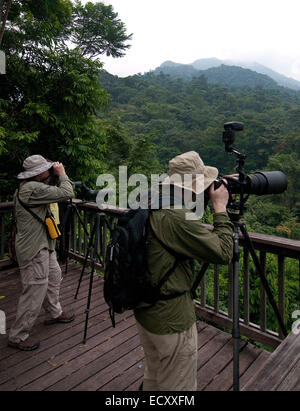 El Pino, Atlaneida, Honduras. 3. Mai 2013. 01.05.2014 la Ceiba, Honduras. Vogelbeobachter suchen nach Arten in Pico Bonita nationaler Parcque, eines der größten und am weitesten entfernten Parks in Honduras. Die bergige Regenwald ist Heimat von mehr als 400 Vogelarten im Laufe des Jahres. Gelegen in der Nähe von der Karibikküste und am Fuße des größten Berges Länder, ist es eine Winter-Destination für viele nordamerikanische Zugvogelarten. © Ralph Lauer/ZUMA Draht/Alamy Live-Nachrichten Stockfoto