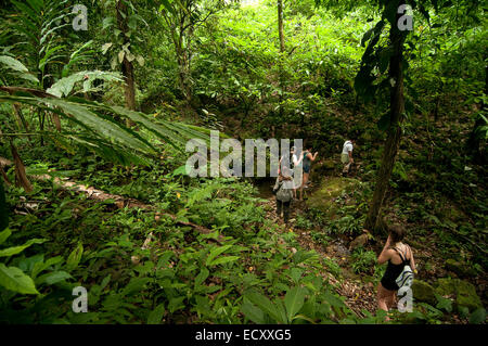 El Pino, Atlaneida, Honduras. 2. Mai 2013. 01.05.2014 la Ceiba, Honduras. Eine Gruppe Wanderungen durch Pico Bonita nationaler Parcque, eines der größten und am weitesten entfernten Parks in Honduras. Die bergige Regenwald ist Heimat von mehr als 400 Vogelarten im Laufe des Jahres. Gelegen in der Nähe von der Karibikküste und am Fuße des größten Berges Länder, ist es eine Winter-Destination für viele nordamerikanische Zugvogelarten. © Ralph Lauer/ZUMA Draht/Alamy Live-Nachrichten Stockfoto