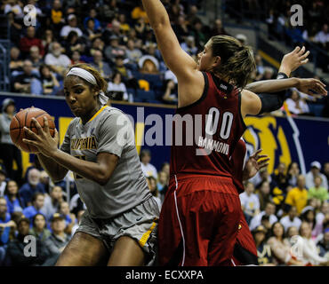 Berkeley CA. 21. Dezember 2015. Kalifornien F # 21 Reshanda grau Schlacht alle Spiel mit Louisville # 00 Sara Hammond bei der NCAA Frauen-Basketball-Spiel zwischen Louisville Cardinals und California Golden Bears an Hass Pavillon Berkeley Kalifornien © Csm/Alamy Live-Nachrichten Stockfoto