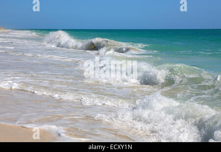 Lebhafte karibische Meer. Playa Los Cocos. Cayo Largo. Kuba. Stockfoto