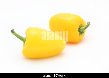 gelbe Paprika auf weißem Hintergrund Stockfoto