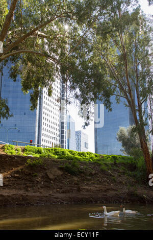 Schönes Foto von der Park Yarkon River in Tel Aviv Stockfoto