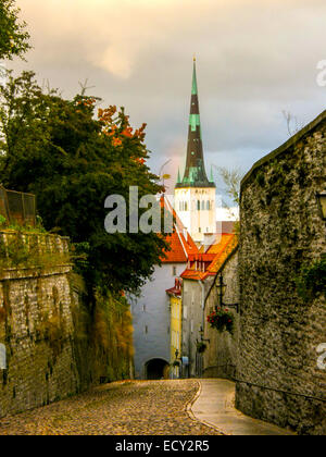 Pikk Jalg Stockfoto