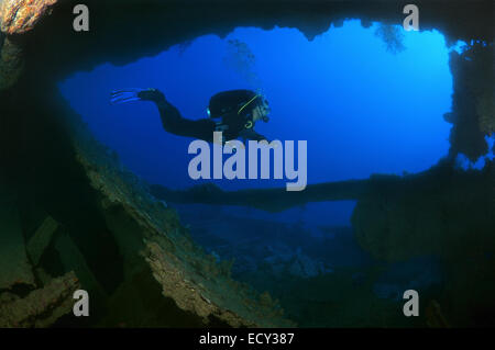 Ein Taucher schwimmt das Schiff halten Schiffswrack 'SS Dunraven', Rotes Meer, Ägypten Stockfoto