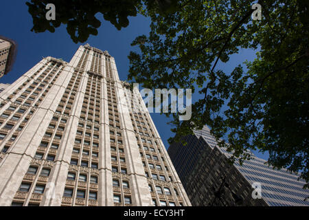 Das Woolworth Building, 233 Broadway, Manhattan, New York City, entworfen vom Architekten Cass Gilbert und fertiggestellt im Jahre 1913 Stockfoto