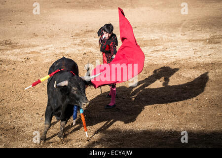 Stierkämpfer nach einem "Veronica" in der Arena, Stierkampf, El Barco de Avila, Avila, Spanien Stockfoto