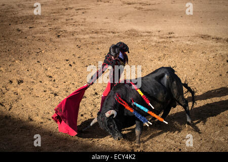 Torero, Stierkampf, El Barco de Avila, Avila, Spanien Stockfoto