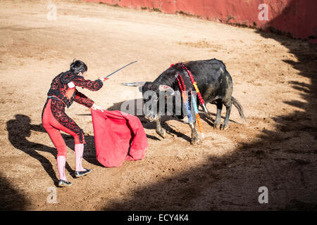 Torero geben den Tod Schlag, Stierkampf, El Barco de Avila, Avila, Spanien Stockfoto