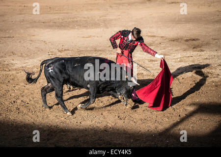 Torero Durchführung einer "Veronica", Stierkampf, El Barco de Avila, Avila, Spanien Stockfoto