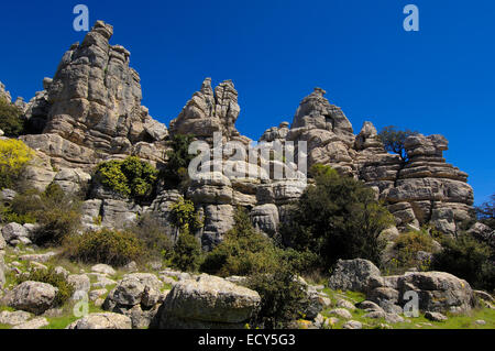 Erosion, die Arbeit an Jura Kalksteine, Torcal de Antequera, Provinz Málaga, Andalusien, Spanien, Europa Stockfoto