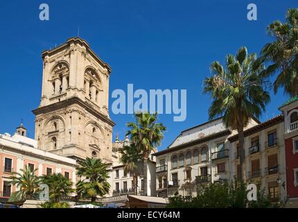 Plaza Romanilla mit dem Turm der Kathedrale von Granada, Granada, Andalusien, Spanien Stockfoto