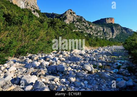 Fast trockene Flussbett des Riu Fiumineddu, Nationalpark Gennargentu, Supramonte, Provinz Nuoro, Sardinien, Italien Stockfoto