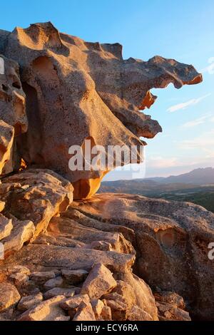 Felsformationen am Capo d ' Orso oder Cape Bear im Abendlicht, Palau, Provinz von Olbia-Tempio, Sardinien, Italien Stockfoto