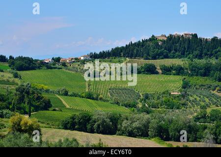 Landschaft mit Weinbergen im Bereich Chianti Classico Weinbau, Lecchi in Chianti, Provinz Siena, Toskana, Italien Stockfoto