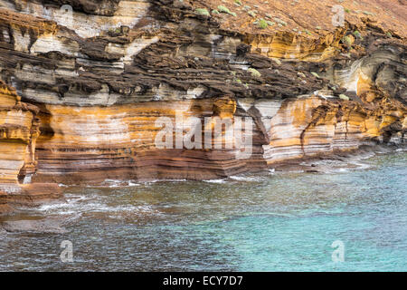 Gelben Berg Naturdenkmal, Naturdenkmal Montaña Amarilla, San Miguel de Abona, Teneriffa, Kanarische Inseln, Spanien Stockfoto