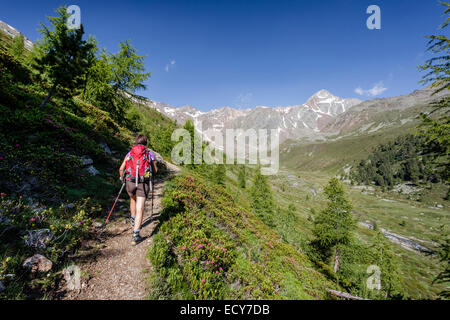 Bergsteiger beim Aufstieg auf die Kortscher Schafsberg in Schnals, hier in Lagauntal, hinter der Saldurspitz, Senales Merano Stockfoto