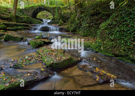 Herbstlichen Wald entlang eines Baches im Schwäbischen Wald mit eine alte Steinbogenbrücke, Reichenbach, Schurwald bewaldete Gebirge Stockfoto