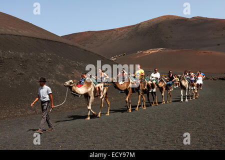 Camelback Reiten für Touristen, Kamele und Dromedare in den Nationalpark Timanfaya, Feuerberge, Vulkanlandschaft, Lanzarote Stockfoto