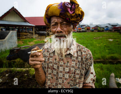 Toraja Mann am Viehmarkt, Sulawesi, Indonesien Stockfoto