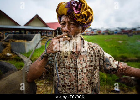 Toraja Mann am Viehmarkt, Sulawesi, Indonesien Stockfoto