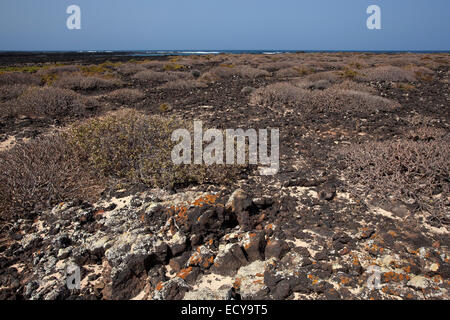 Bajo de Los Sables in Orzola, Lanzarote, Kanarische Inseln, Spanien Stockfoto