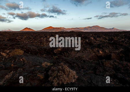 Lava Feld, Feuerberge, Vulkane, Vulkanlandschaft, abends Licht, Lanzarote, Kanarische Inseln, Spanien Stockfoto