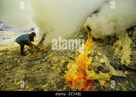 Schwefel-Bergleute der Kawah Ijen, Java, Indonesien Stockfoto