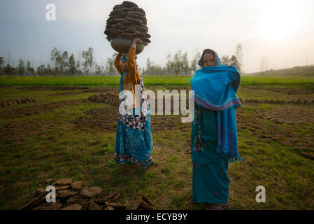 Indische Frauen Abholung trocknen Kot, Uttar Pradesh, Indien Stockfoto