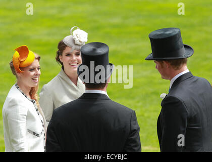 2014 royal Ascot - königliche Ankünfte - Tag 3 - Ladies Day/Gold Cup Day mit: Prinzessin Eugenie, Prinzessin Beatrice, Prinz Harry, Peter Phillips wo: Ascot, Großbritannien wenn: 19. Juni 2014 Stockfoto