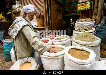 Mann am Gewürz-stand, Kairo, Ägypten Stockfoto