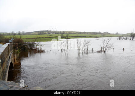 Renfrewshire, Schottland, Großbritannien, Montag, 22. Dezember 2014. Nach heftigen nächtlichen Regenfällen platzte der Fluss Black Cart in der Nähe des Dorfes Howwood in Renfrewshire an seinen Ufern und überflutete das umliegende Farmland Stockfoto