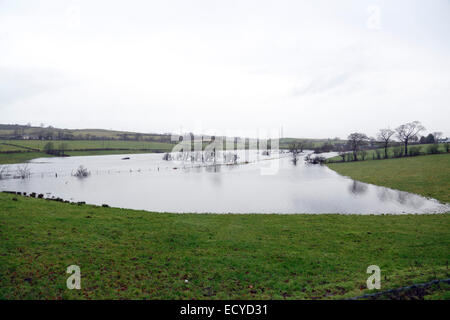 Renfrewshire, Schottland, Großbritannien, Montag, 22. Dezember 2014. Nach heftigen nächtlichen Regenfällen platzte der Fluss Black Cart in der Nähe des Dorfes Howwood in Renfrewshire an seinen Ufern und überflutete das umliegende Farmland Stockfoto