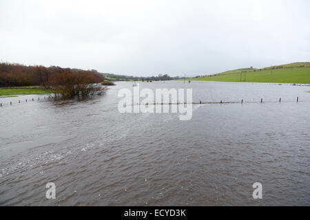 Renfrewshire, Schottland, Großbritannien, Montag, 22. Dezember 2014. Nach heftigen nächtlichen Regenfällen platzte der Fluss Black Cart in der Nähe des Dorfes Howwood in Renfrewshire an seinen Ufern und überflutete das umliegende Farmland Stockfoto