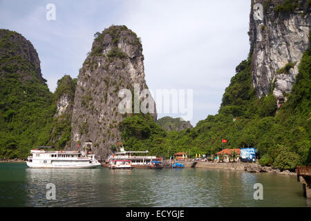 Ausflugsboote in Ha Long Bucht, Vietnam. Stockfoto