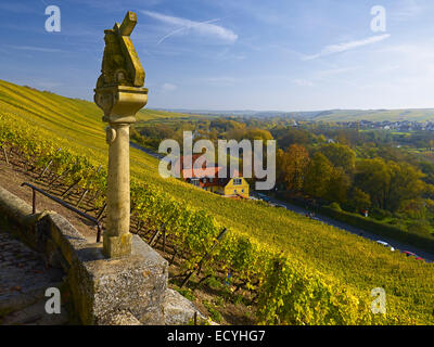 Stationen des Kreuzes in den Weinbergen bei Escherndorf, Bayern, Germany Stockfoto