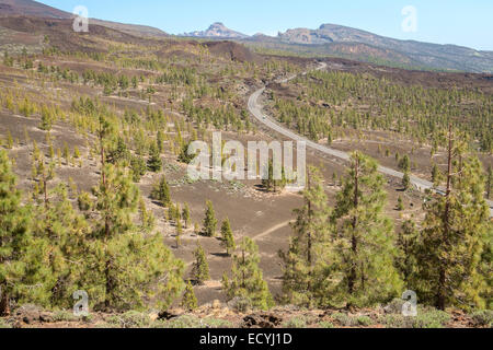 Nationalpark Teide, Teneriffa, Spanien Stockfoto