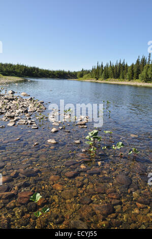 Kiesel-Fluss im Ural. Der Kanal nördlich des Flusses unter der Sonne. Stockfoto
