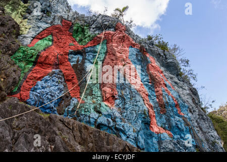 Auf einem Felsen am Fuße des 617m hohen Sierra de Vinales, Kuba, ist das Mural De La Prehistoria ein 120m langen Gemälde auf der Seite Stockfoto