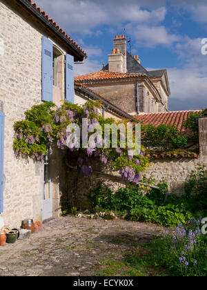 Die Charente Martime ist ein französisches Departement in der Region von Poitou Charente im Südwesten Frankreichs. Stockfoto