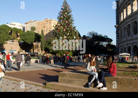 Rom Italien. 22. Dezember 2014. Kolosseum in Rom mit Weihnachtsbaum dekoriert Saison. Bildnachweis: Amer Ghazzal/Alamy Live-Nachrichten Stockfoto