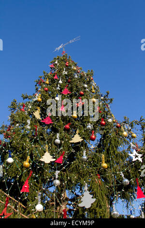 Rom Italien. 22. Dezember 2014. Kolosseum in Rom mit Weihnachtsbaum dekoriert Saison. Bildnachweis: Amer Ghazzal/Alamy Live-Nachrichten Stockfoto