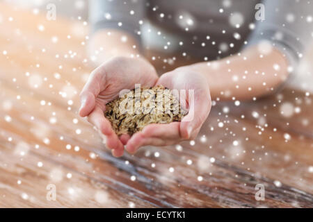 Weibchen mit weißen und wilden schwarzen Reis auf palm Stockfoto