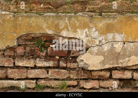 Alte Mauer mit rissigen Putz. Hintergrundtextur. Stockfoto