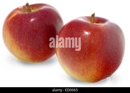 zwei rote Äpfel Stockfoto
